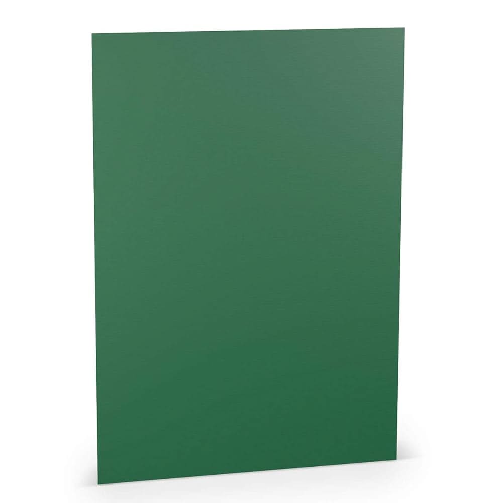 Tonpapier tannengrün 130g/m2 - Kidis Art