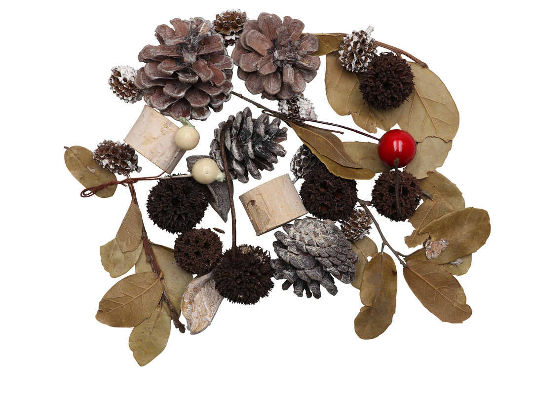 Zapfen-Mix Set 1, 70g mit Beere