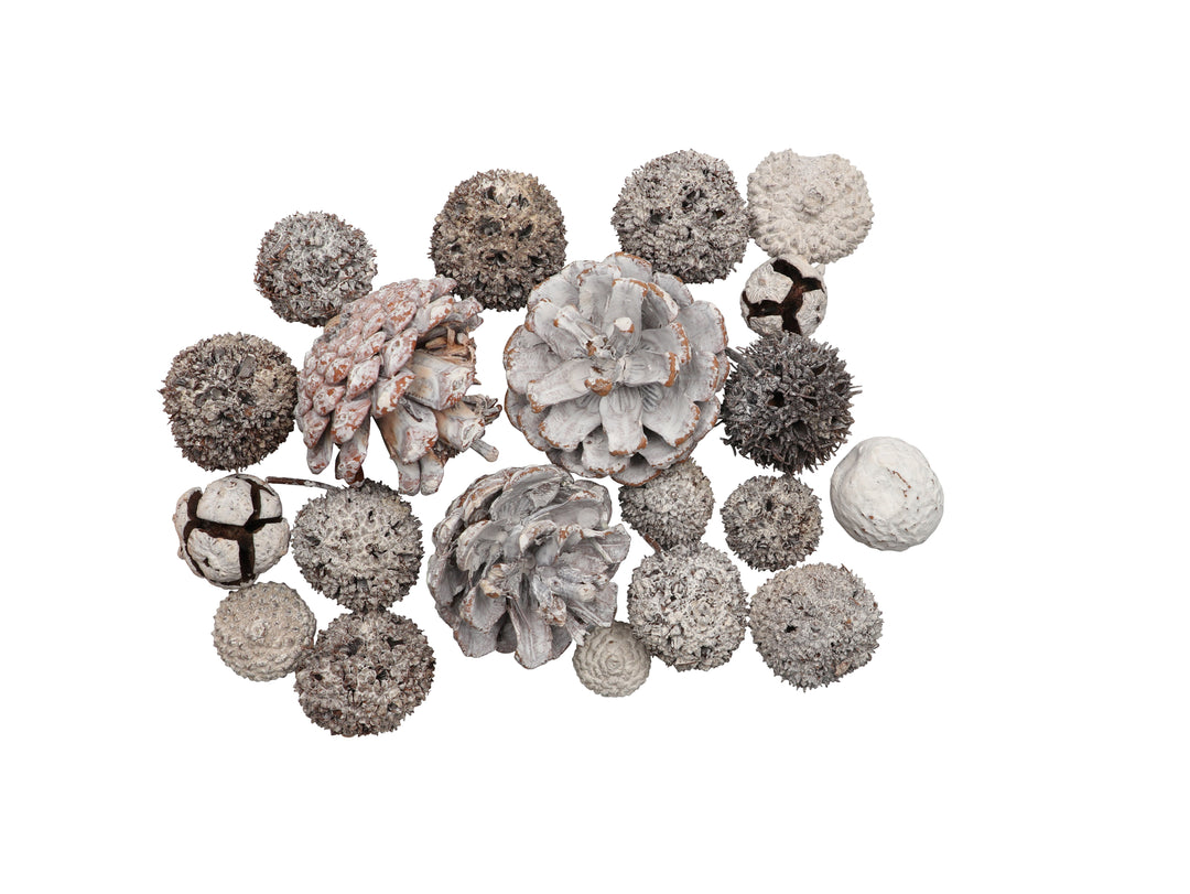 Zapfen-Mix Set 3, 170g gewaschen