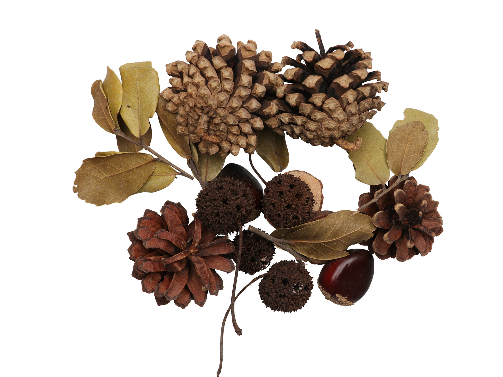 Zapfen-Mix Set 4, 170g mit Kastanien