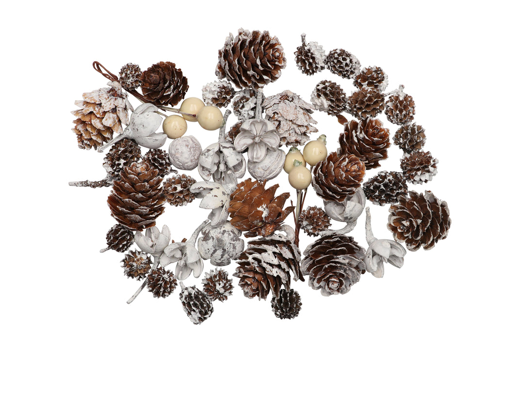 Zapfen-Mix Set 5, 170g mit weissen Beeren