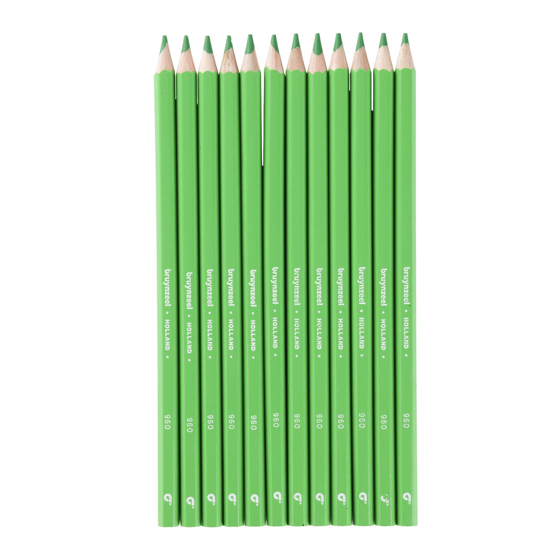 Bruynzeel Super Farbstifte in Hellgrün 12er Set - Kidis Art