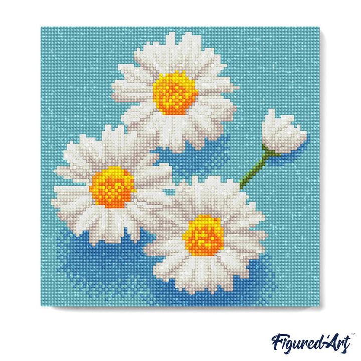Mini Diamond Painting 25 x 25 cm ohne Keilrahmen Bezaubernde Weisse Gänseblümchen - Kidis Art