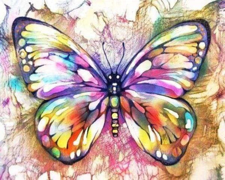 Kreuzstich 32x40cm – Schmetterling und Farben - Kidis Art