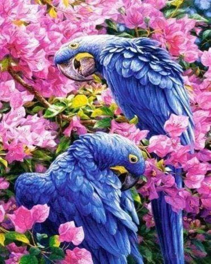 Kreuzstich 32x40cm – Blaue Papageien - Kidis Art