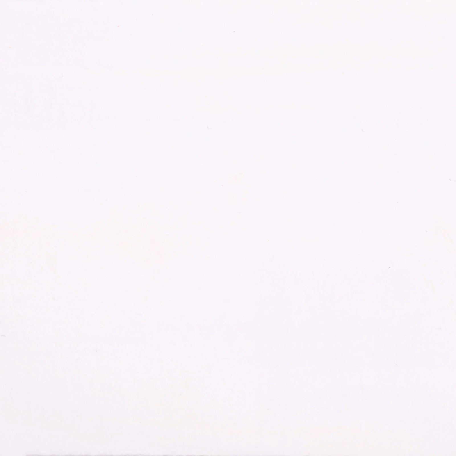 Ecola Plakatfarbe Flasche 1000 ml Weiß 100 - Kidis Art