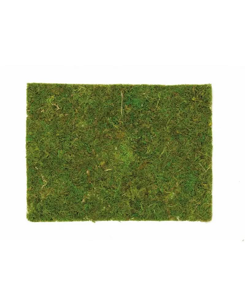 Moosplatte 40x30cm - Kidis Art