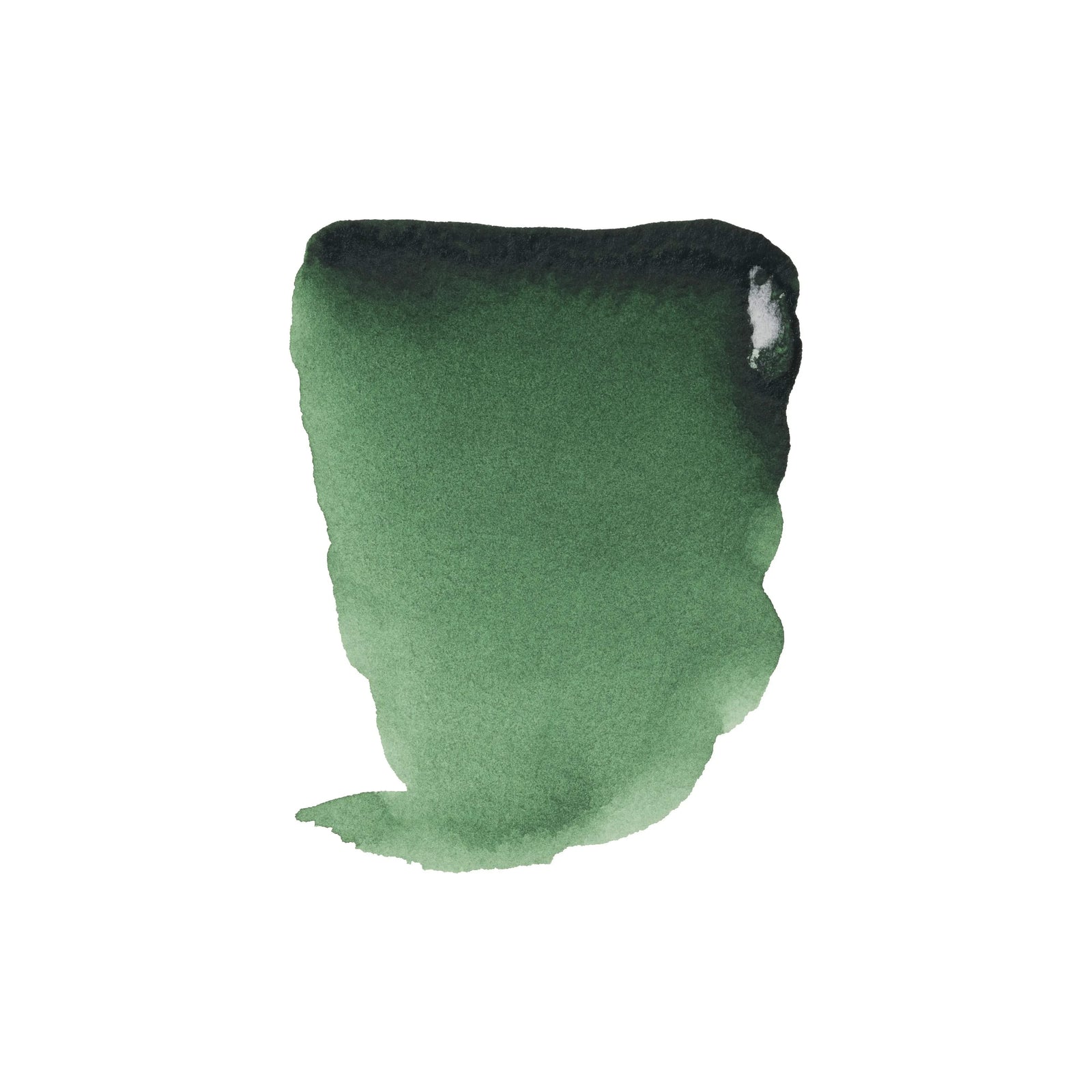 Rembrandt Aquarellfarbe Tube 10 ml Hookergrün Dunkel 645 - Kidis Art