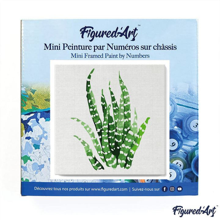 Mini Malen nach Zahlen mit Rahmen 20x20cm - Fettige Pflanze - Kidis Art