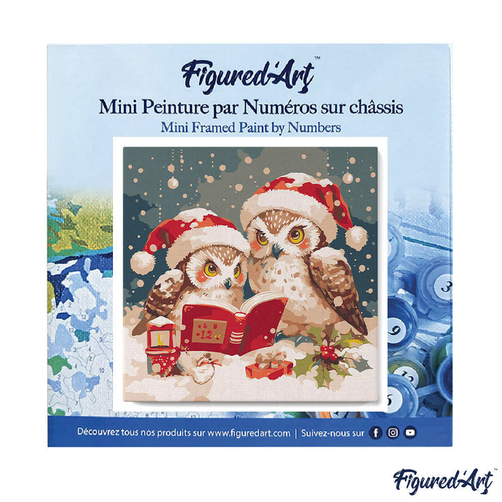 Mini Malen nach Zahlen mit Rahmen 20x20cm Eulen Weihnachtsmann beim Lesen - Kidis Art