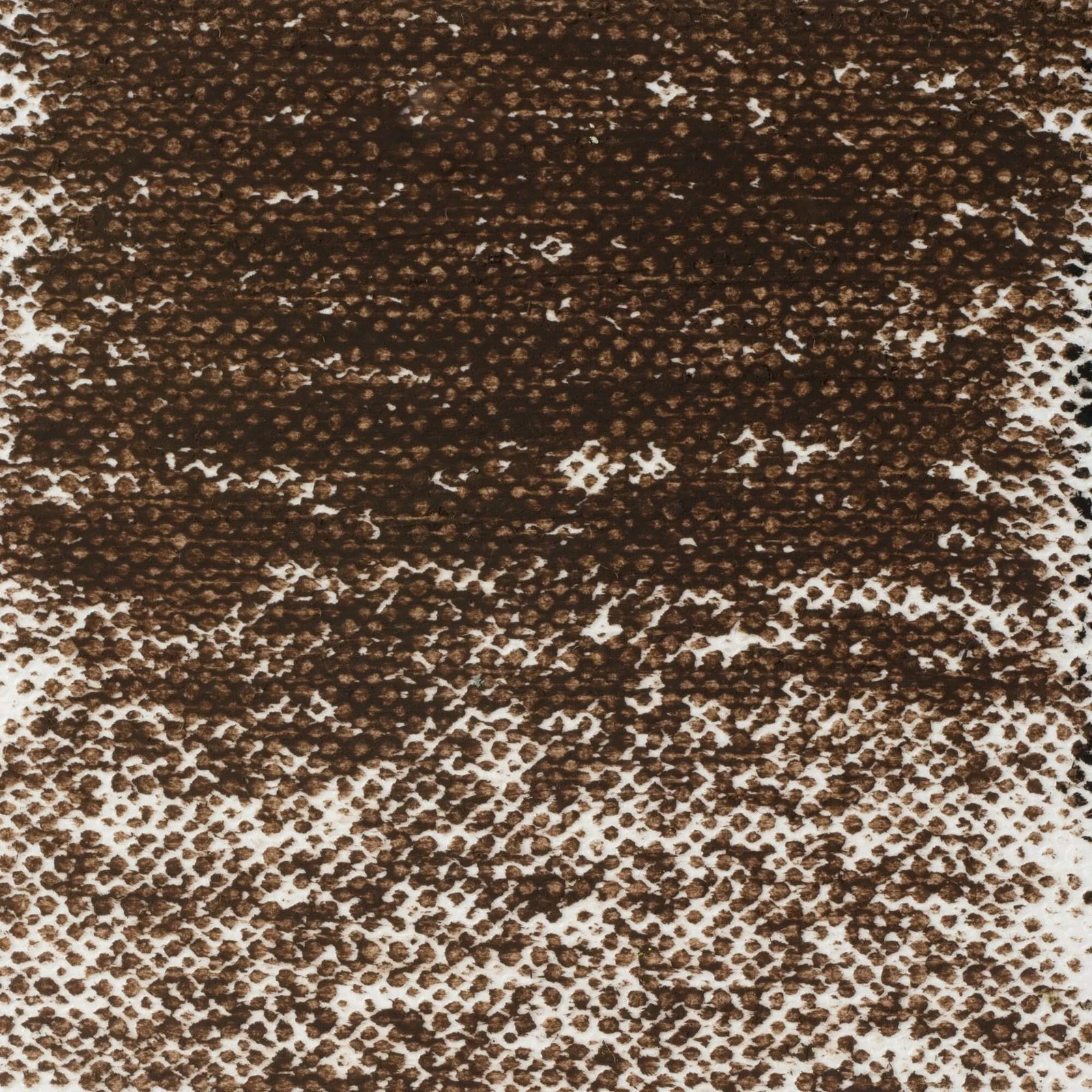 Van Gogh Ölpastell Sepia 416.5 - Kidis Art