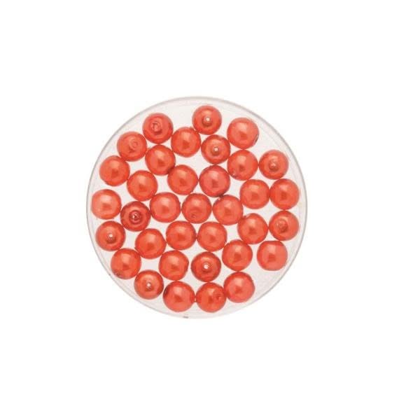 Böhmische Glasperle 6mm Wachs hyazinth 50St - Kidis Art