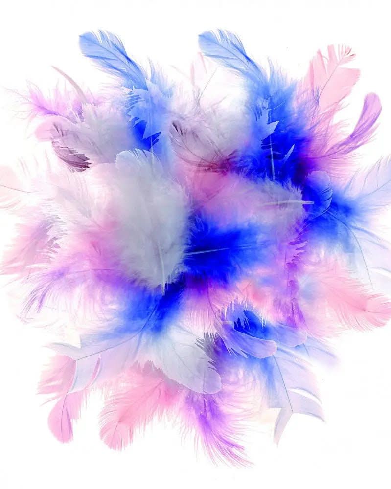Deco-Federn 10g - Kidis Art