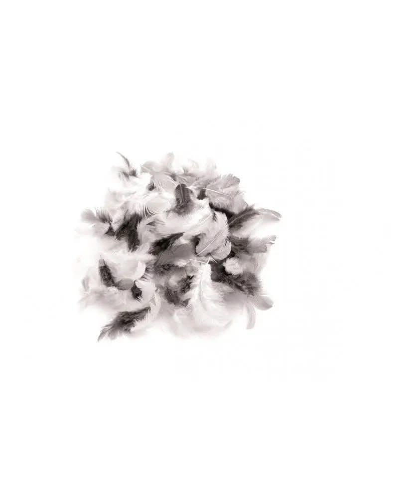 Deco-Federn weiss-schw-grau 2g - Kidis Art