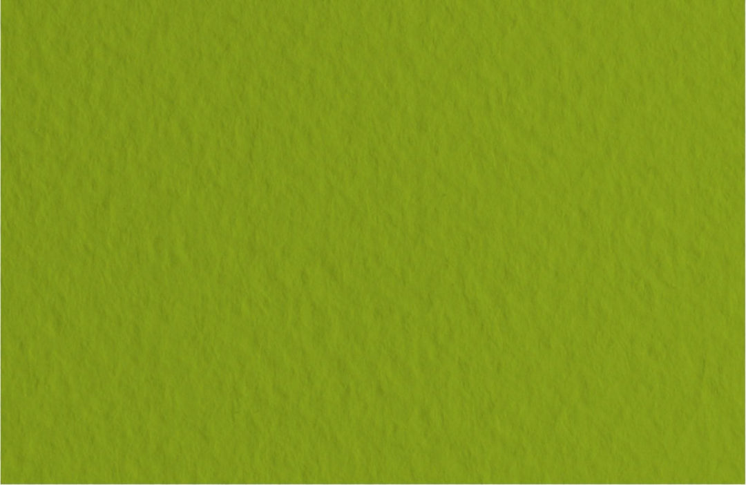 Fabriano Tiziano Bogen "Pistacchio" - A4 - 160g - Kidis Art