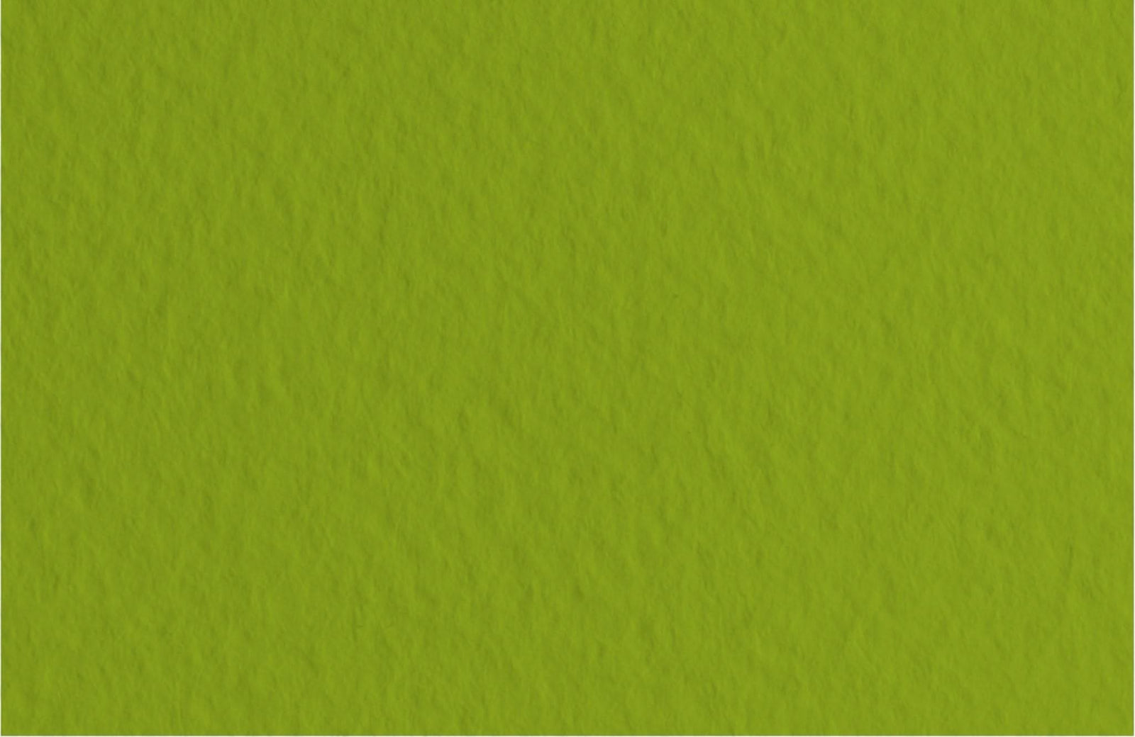 Fabriano Tiziano Bogen "Pistacchio" - A4 - 160g - Kidis Art