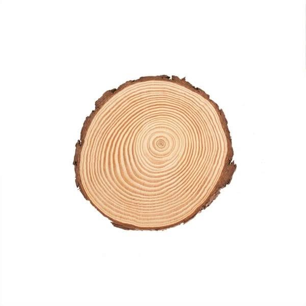 Holzscheibe 15x1,5cm, FSC Kiefernholz, CN - Kidis Art