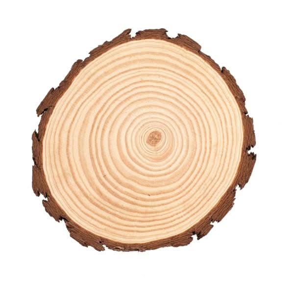 Holzscheibe 20-22x2cm, FSC Kiefernholz, CN - Kidis Art