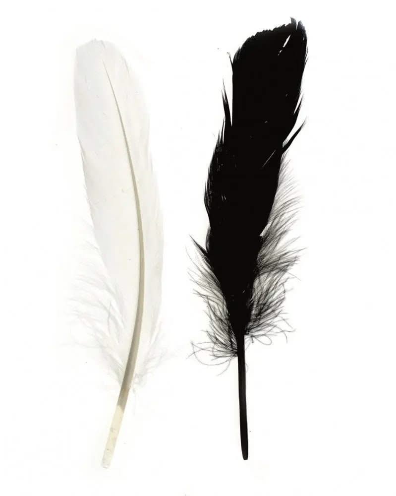 Indianerfeder 16cm ca.15St - Kidis Art