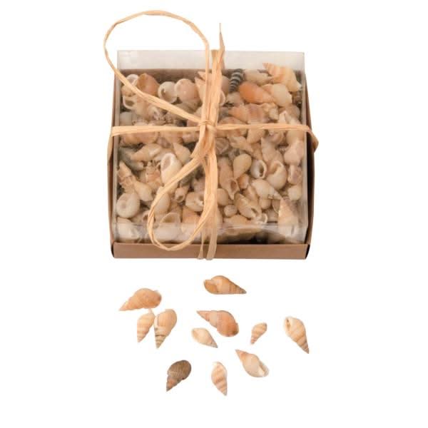 Muschelmix 90g - Kidis Art