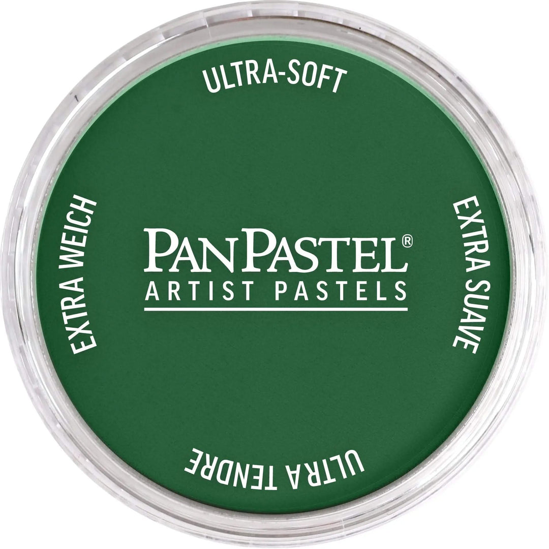PanPastel 640.1 Permanentgrun Extra Dkl - Kidis Art
