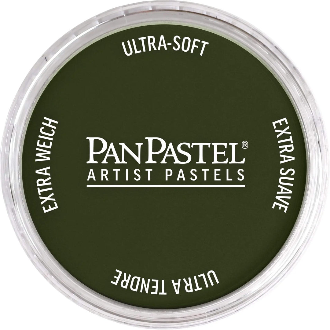 PanPastel 660,3 Chromoxidgrun Dunkel - Kidis Art