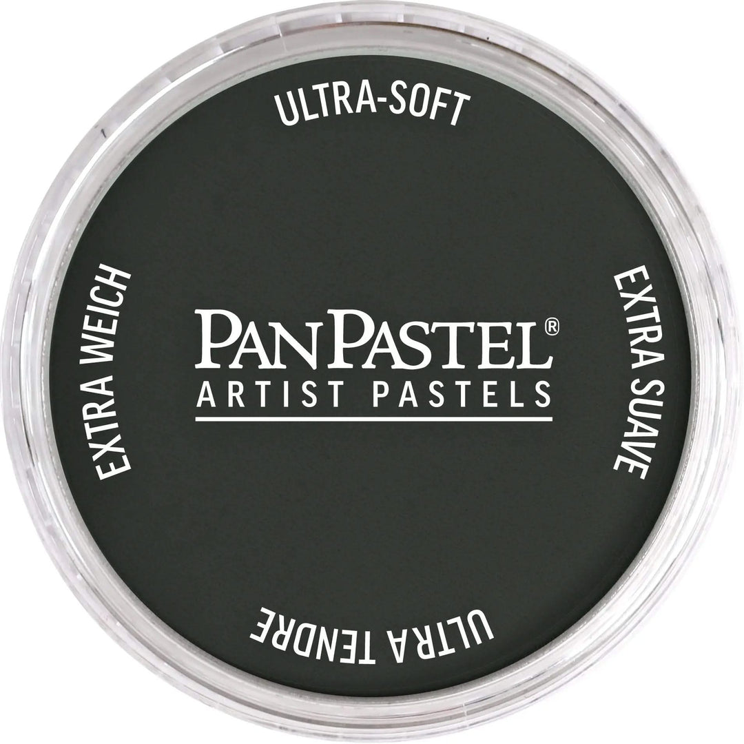 PanPastel 820.1 Neutralgrau Extra Dunkel 1 - Kidis Art